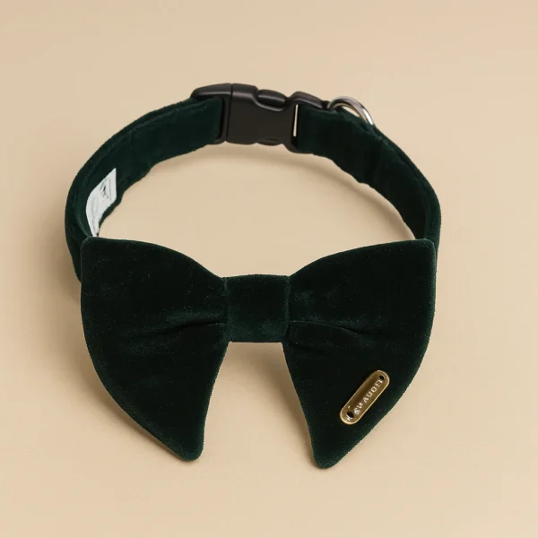 velvet-fern-bow-image