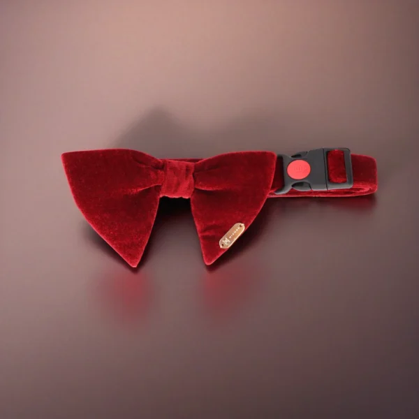velvet-rose-collar-bow-image